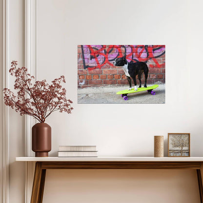 Boston Terrier on a Skateboard | Funny Dog Photography | Urban Pet Poster - Photography Poster