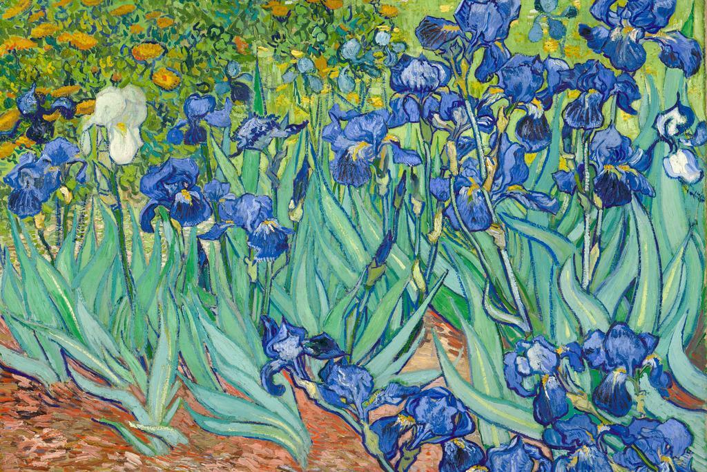 Vincent Van Gogh Irises Poster | Post-Impressionist Art | Floral Painting Print