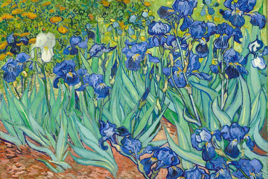 Vincent Van Gogh Irises Poster | Post-Impressionist Art | Floral Painting Print