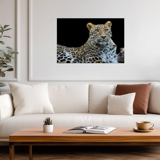 Leopard Face to Face Portrait | Wildlife Photography | Big Cat Poster - Photography Poster