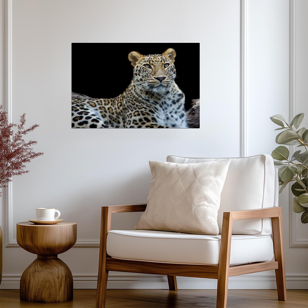 Leopard Face to Face Portrait | Wildlife Photography | Big Cat Poster - Photography Poster