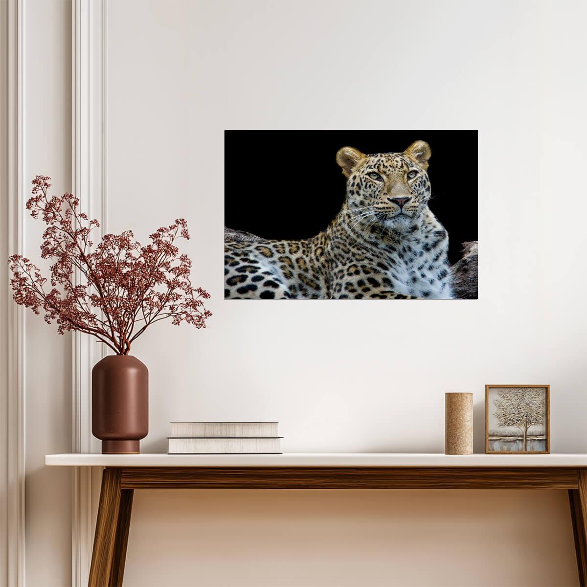 Leopard Face to Face Portrait | Wildlife Photography | Big Cat Poster - Photography Poster