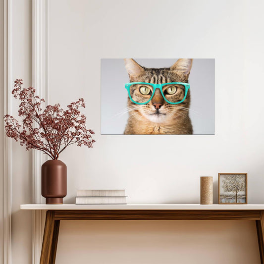 Cute Cat Looking Smart in Blue Glasses | Funny Animal Photography | Humorous Pet Poster - Photography Poster