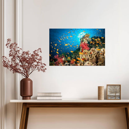 Colorful Coral Reef Scene | Underwater Photography Print | Ocean Life Poster - Photography Poster