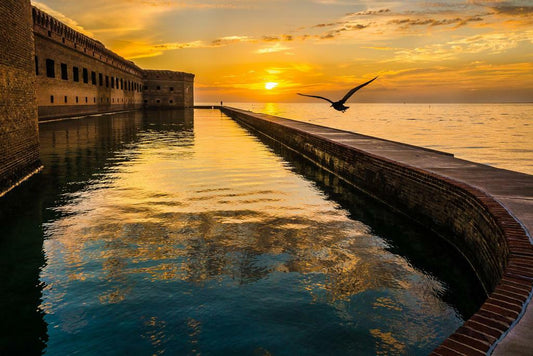 Fort Jefferson Moat at Dry Tortugas National Park | Florida Landmark Photography | Historical Poster - Photography Poster