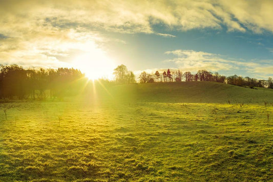 Northern Ireland Countryside at Sunrise | Landscape Photography | Nature Wall Art Poster - Photography Poster