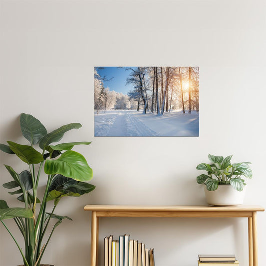 Winter Park Forest Sunrise Poster | Snowy Trees Photography | Nature Wall Art