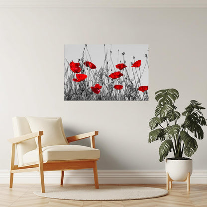 Red Poppies Meadow Poster | Black and White Photography | Floral Wall Art with Color Pop