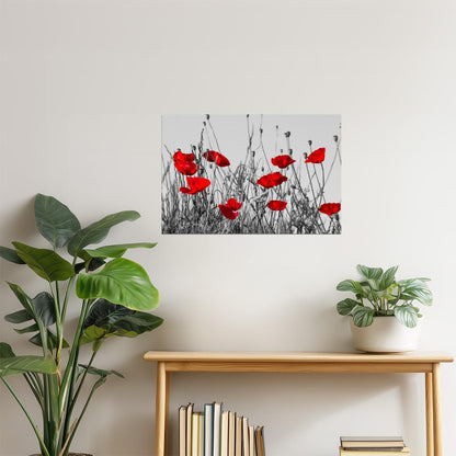 Red Poppies Meadow Poster | Black and White Photography | Floral Wall Art with Color Pop