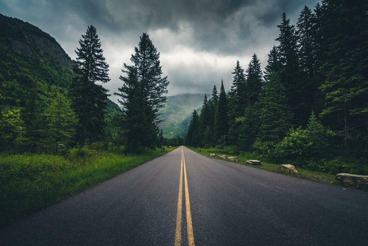 Mountain Forest Road Poster | Nature Photography | Scenic Drive Wall Art