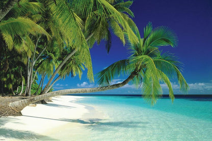 Tropical Beach in the Maldives | Polynesian Seascape Photography | Paradise Wall Art Poster - Photography Poster