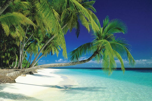 Tropical Beach in the Maldives | Polynesian Seascape Photography | Paradise Wall Art Poster - Photography Poster