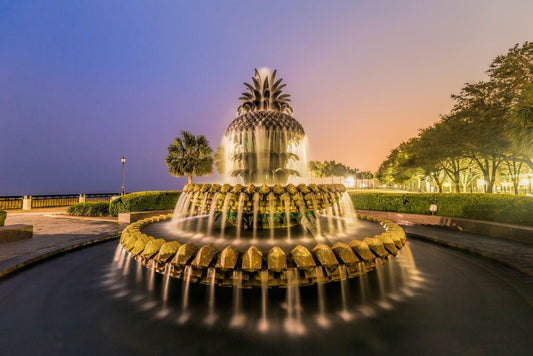 Pineapple Fountain at Waterfront Park | Charleston South Carolina | City Landmark Poster - Photography Poster