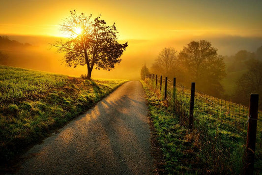 Idyllic Rural Dawn Poster | Golden Light Landscape Photography | Countryside Wall Art