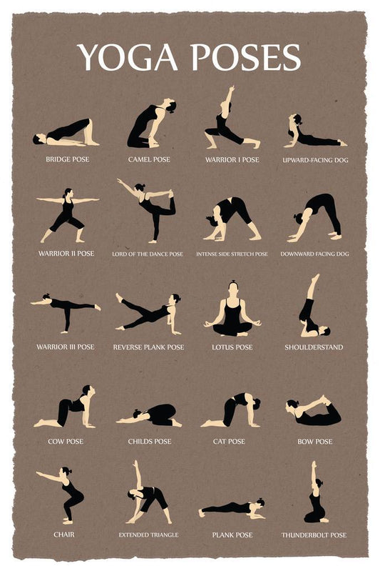 Yoga Poses Reference Chart | Asana Guide Poster | Studio & Home Gym Wall Art - Type & Quotes Poster