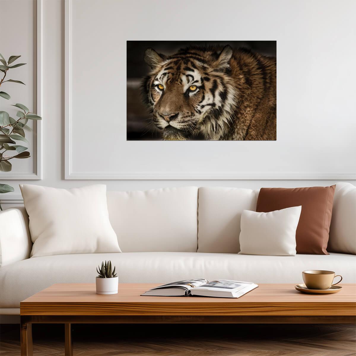 Majestic Tiger Face Close Up | Wildlife Photography Portrait | Animal Poster - Photography Poster