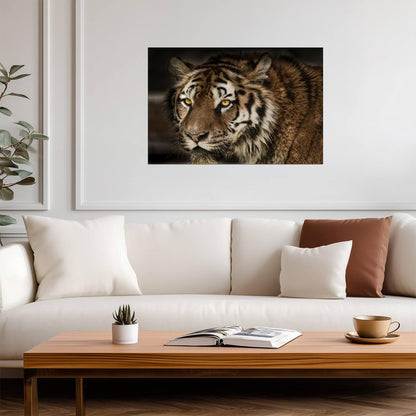 Majestic Tiger Face Close Up | Wildlife Photography Portrait | Animal Poster - Photography Poster