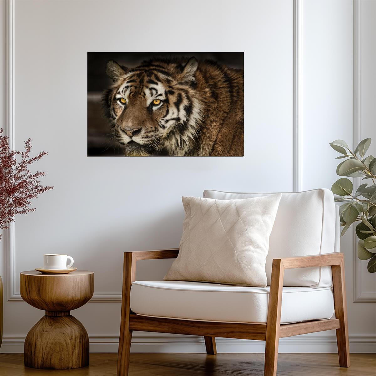 Majestic Tiger Face Close Up | Wildlife Photography Portrait | Animal Poster - Photography Poster