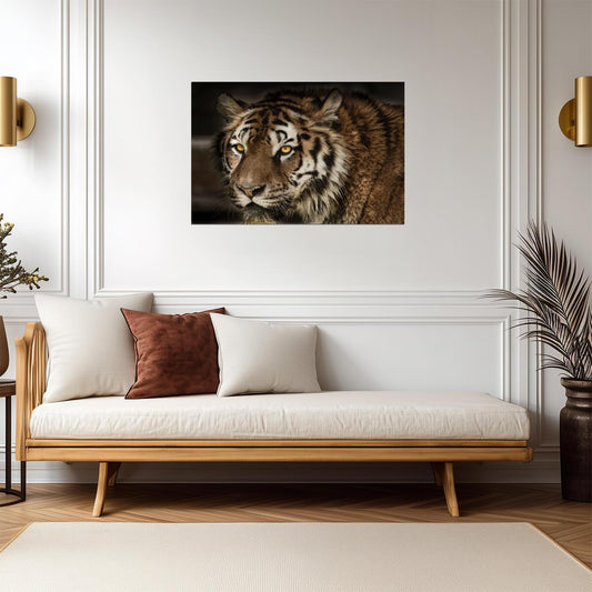 Majestic Tiger Face Close Up | Wildlife Photography Portrait | Animal Poster - Photography Poster