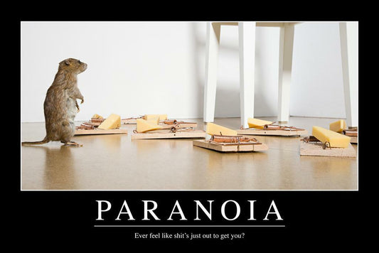 Paranoia | Funny Demotivational Poster