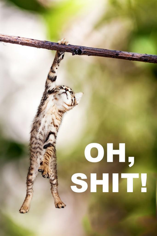 "Oh, Shit!" Funny Hanging Cat | Humorous Animal Poster | Pet Wall Art - Type & Quotes Poster