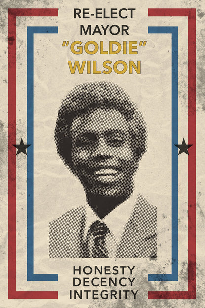 Back to the Future | Re-Elect Mayor Goldie Wilson | Fictional Campaign Poster - Movies & TV Poster