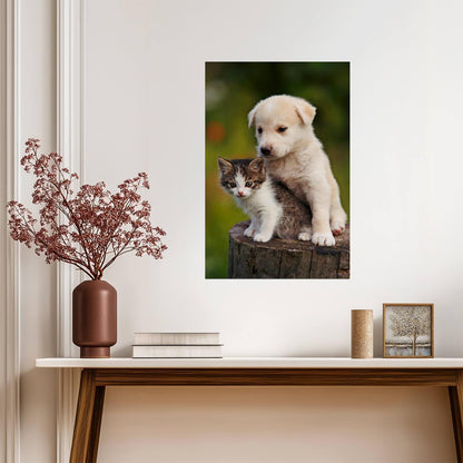 Cute Puppy and Kitten Embracing | Funny Animal Photography | Heartwarming Pet Poster - Photography Poster