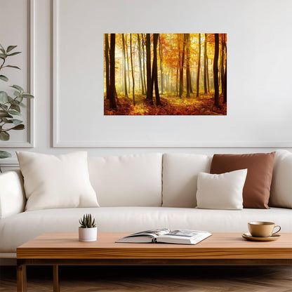 Autumn Beech Tree Forest with Sunlight | Nature Photography | Landscape Poster - Photography Poster