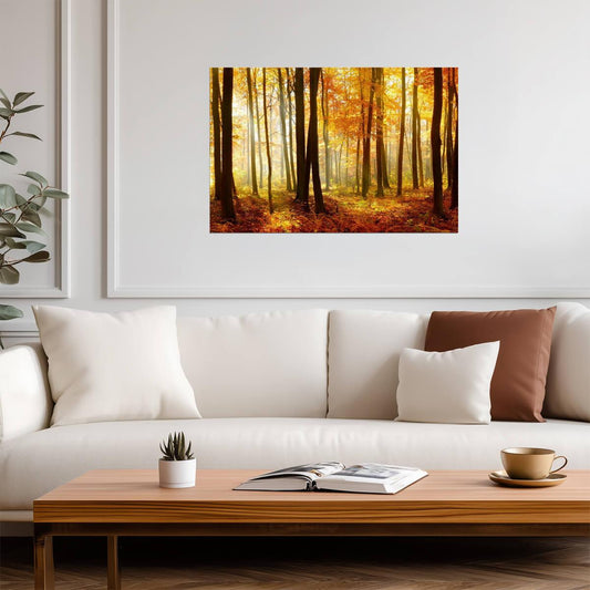Autumn Beech Tree Forest with Sunlight | Nature Photography | Landscape Poster - Photography Poster