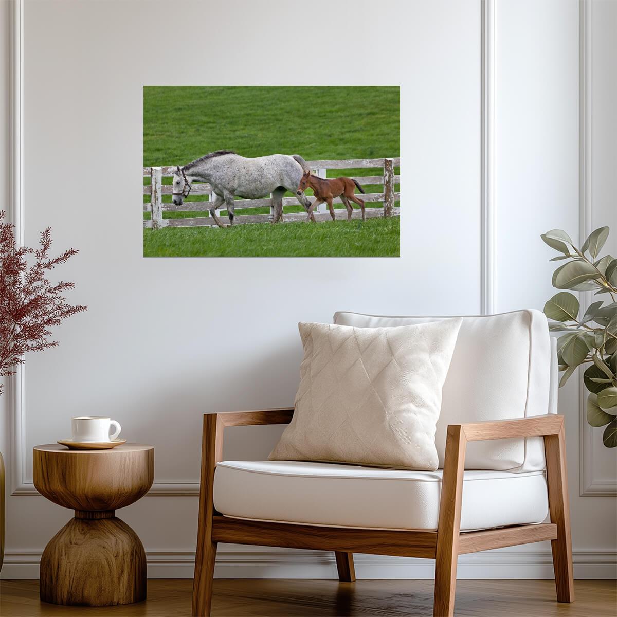 Female Thoroughbred and Young Foal | Equestrian Photography | Horse Poster - Photography Poster