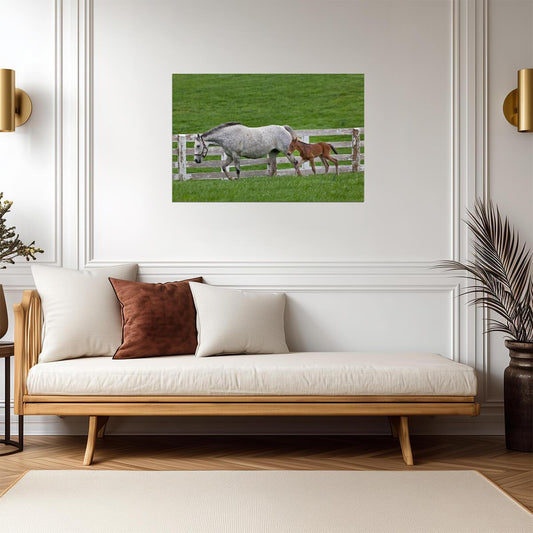 Female Thoroughbred and Young Foal | Equestrian Photography | Horse Poster - Photography Poster