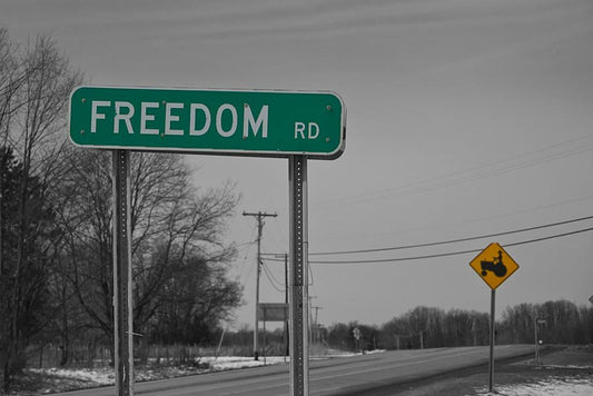 "Freedom Road" Sign Photo | Inspirational Landscape | Motivational Photography Poster - Type & Quotes Poster
