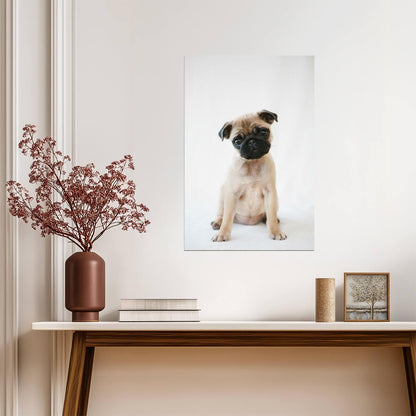 Pug Puppy Sitting Obediently | Cute Dog Photography | Pet Portrait Poster - Photography Poster