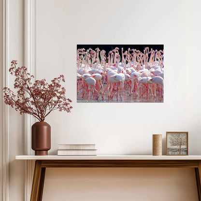 Flock of Flamingos at Ras Al Khor Sanctuary | Dubai Wildlife Photography | Bird Poster - Photography Poster