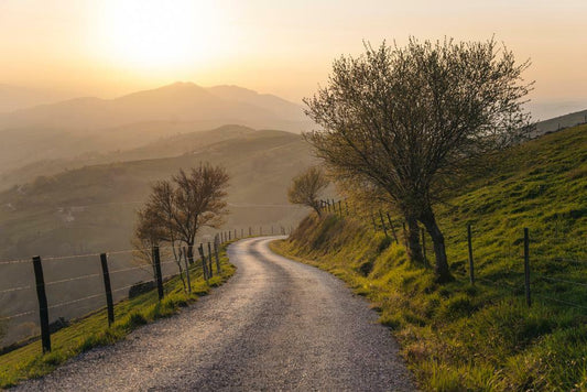 Winding Countryside Road Poster | Nature Photography | Rural Landscape Wall Art