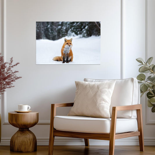 Red Fox in Snow Photo | Winter Wildlife Photography | Animal in Nature Poster - Photography Poster