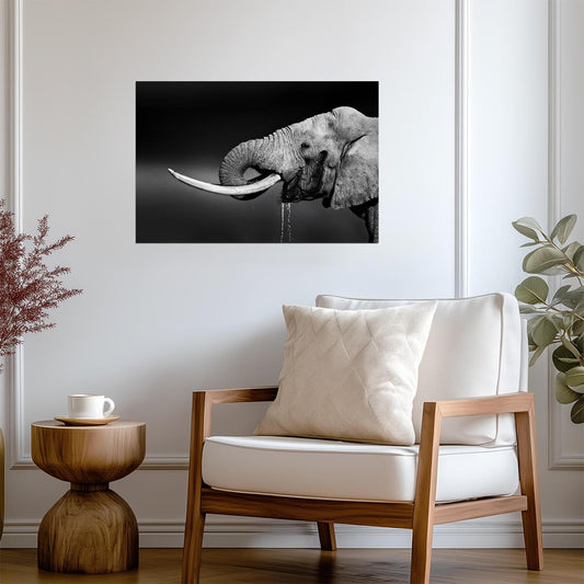Elephant Bull Drinking Water | Black and White Wildlife Photography | Animal Poster - Photography Poster