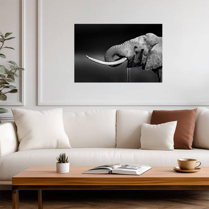 Elephant Bull Drinking Water | Black and White Wildlife Photography | Animal Poster - Photography Poster