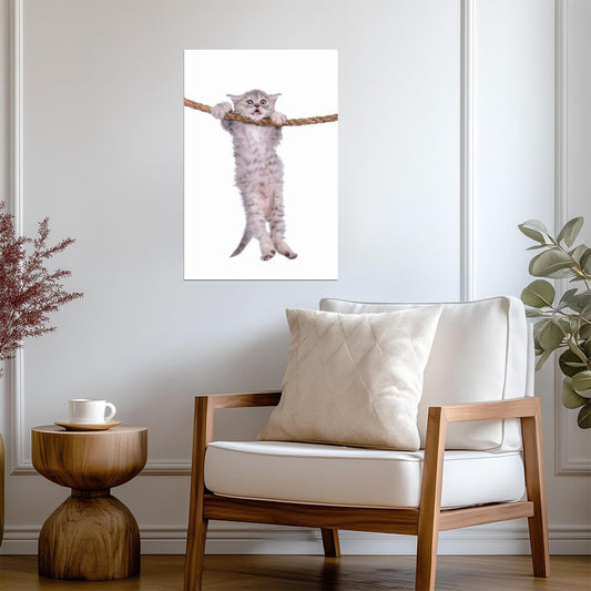Kitten Hanging Onto a Rope | Inspirational "Hang in There" Style | Cute Animal Poster - Graphic & Art Poster