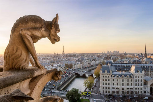 Notre Dame Gargoyle Paris Poster | Cityscape Photography | France Wall Art