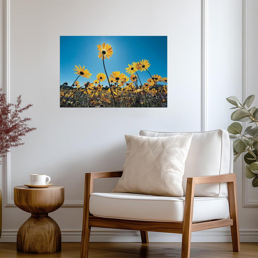 Wild Flowers in the Southern Namib Desert | South Africa Photography | Nature Poster - Photography Poster