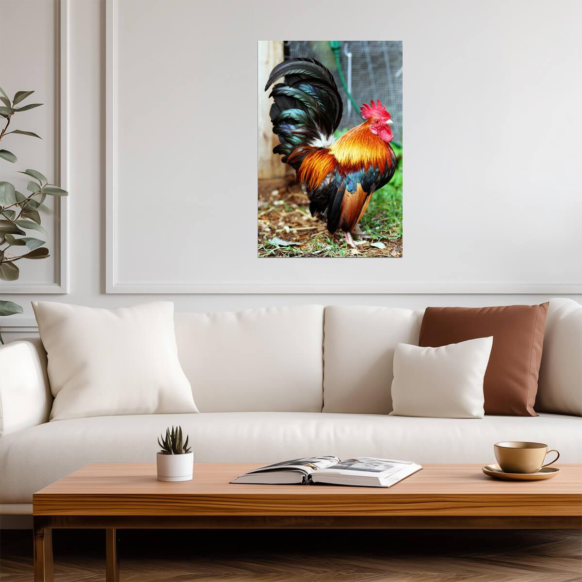 Malaysian Serama Rooster Photo | Colorful Bird Portrait | Farm Animal Photography - Photography Poster