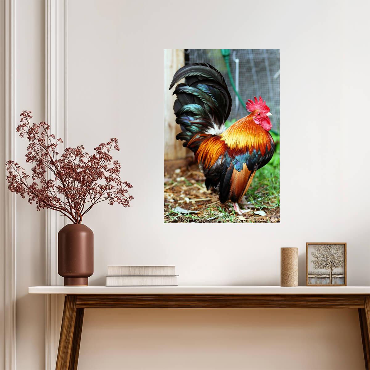 Malaysian Serama Rooster Photo | Colorful Bird Portrait | Farm Animal Photography - Photography Poster