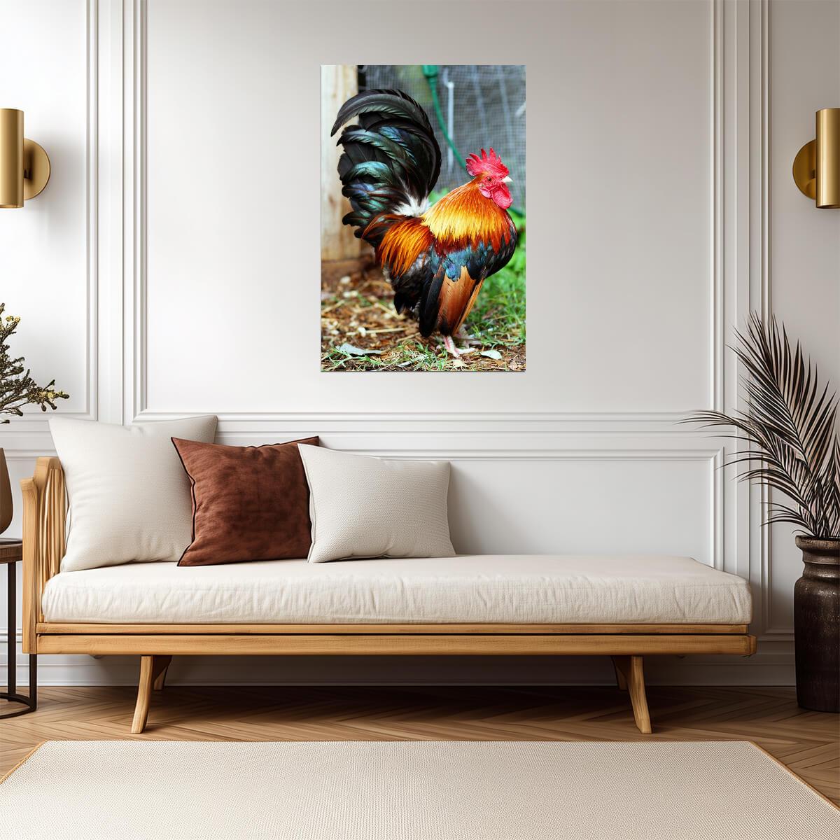 Malaysian Serama Rooster Photo | Colorful Bird Portrait | Farm Animal Photography - Photography Poster