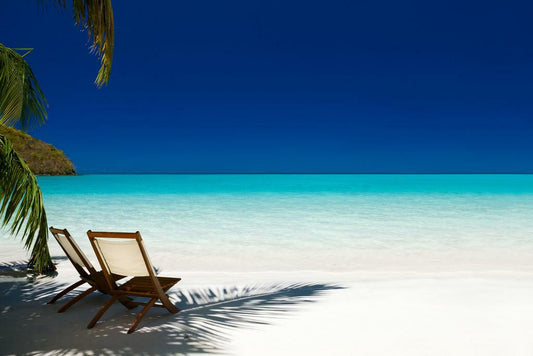 Chairs Under Palm Tree Photo | Caribbean Beach Scene | Tropical Vacation Poster - Photography Poster