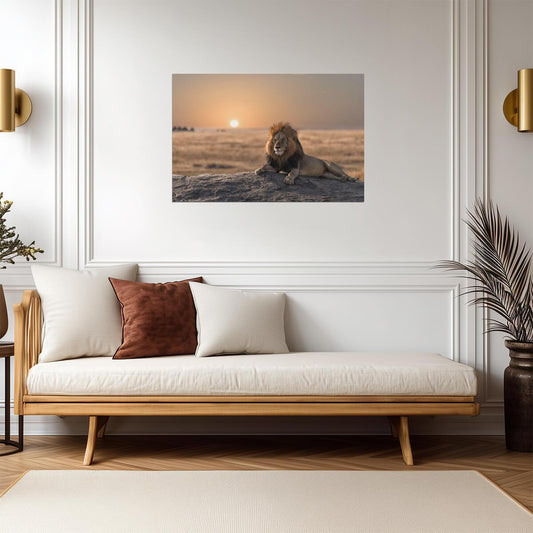 Male Lion Watching Over His Land | African Wildlife Photography | Safari Wall Art Poster - Photography Poster