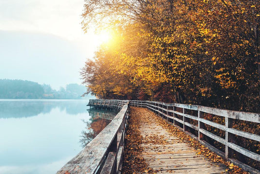 Autumn Lake Boardwalk Poster | Fall Landscape Photography | Nature Wall Art