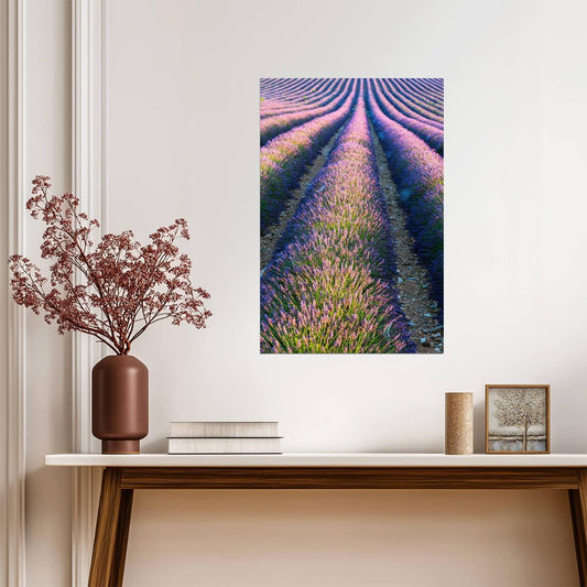 Lavender Field in Full Bloom | Provence France Photography | Floral Landscape Poster - Photography Poster