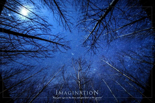 Imagination Under the Stars | Inspirational Motivational Poster