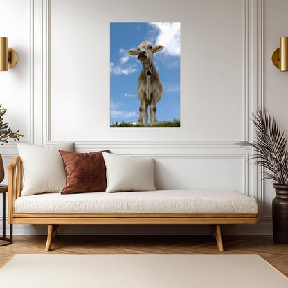 Cow Wearing a Bell Portrait | Farm Animal Photography | Rustic Decor Poster - Photography Poster